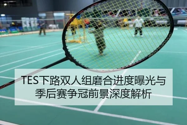 TES下路双人组磨合进度曝光与季后赛争冠前景深度解析